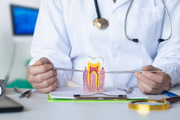 Best Emergency Tooth Extraction in Northbrook, IL
